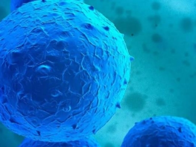 再傳喜訊！達(dá)博生物“人臍帶間充質(zhì)干細(xì)胞注射液”獲臨床試驗?zāi)驹S可