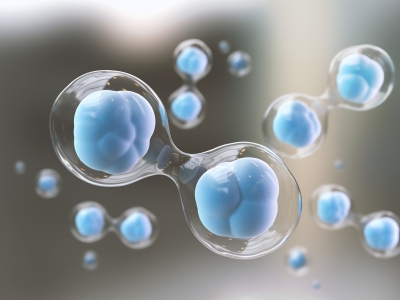 外泌體與干細(xì)胞：看似同源，實(shí)則大不同的 “修復(fù)能手”