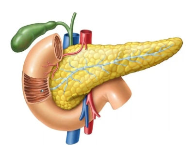 干細(xì)胞為什么可以治療2型糖尿病？