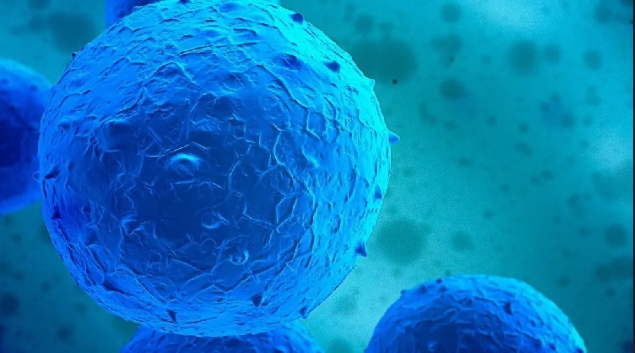 達(dá)博生物人臍帶間充質(zhì)干細(xì)胞Ⅰ期臨床研究啟動(dòng)會(huì)順利召開(kāi)！