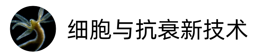 細胞與抗衰新技術(shù)